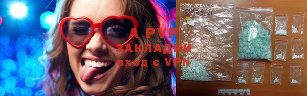 ГАЛЛЮЦИНОГЕННЫЕ ГРИБЫ Сясьстрой