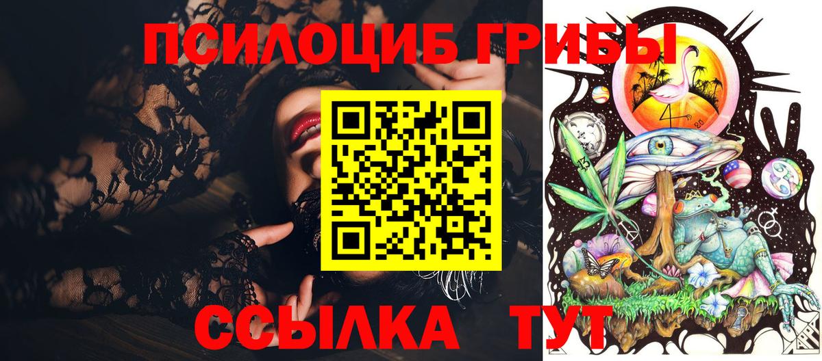 Псилоцибиновые грибы Cubensis  Вход с VPN  Апрелевка 